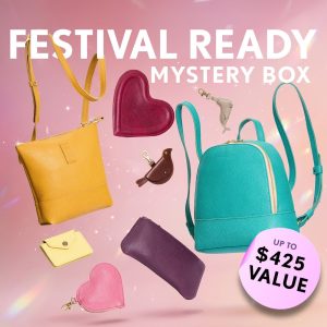Festival Ready Mystery Box